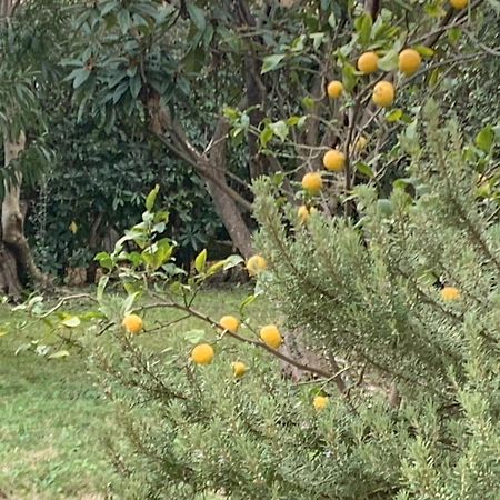 Paradisa28 - Amalfi - Zona Ospedale Cisanello Pisa Kültér fotó